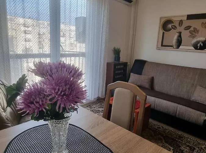 Apartment Dorcol Belgrade